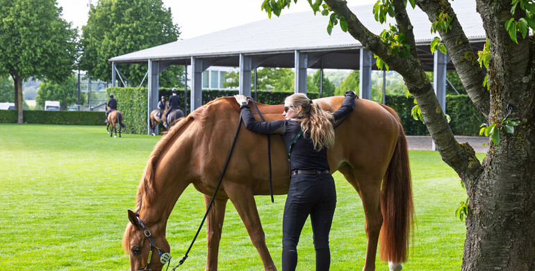 WoSJ Photo Specials – Out & About in Aachen