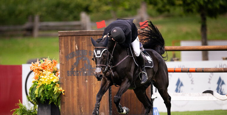 King & Replay Touch van de Stapelheyde win CSIO4* Grand Prix by a nose