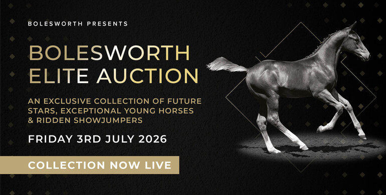 Bolesworth Elite Auction 2026 – Collection now Live!