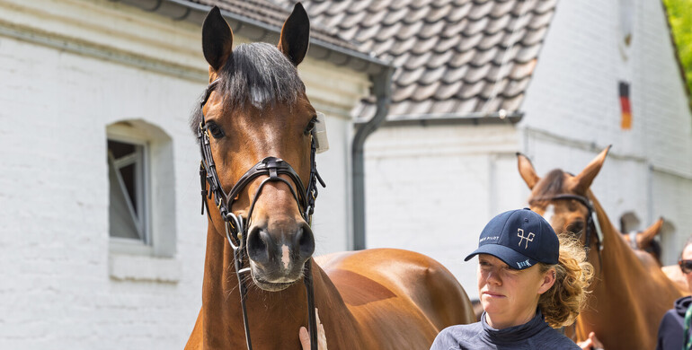 Margo Thomas on the inaugural World Class Grooming Career Development Grant: “We want to create an opportunity for grooms that aren't at the upper levels yet”