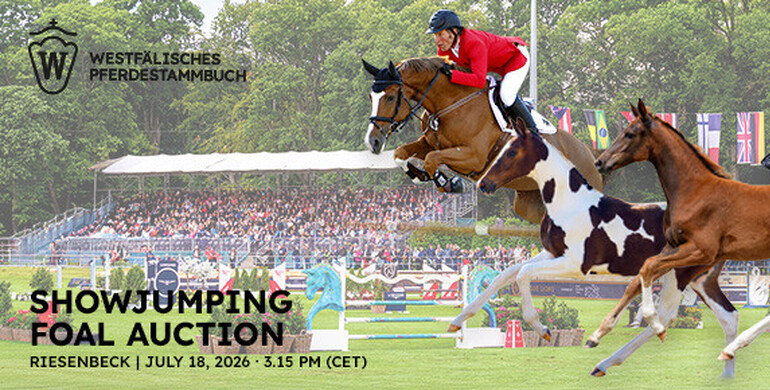 Westphalian foal auction in Riesenbeck – A new era of Zineday and Gotha begins