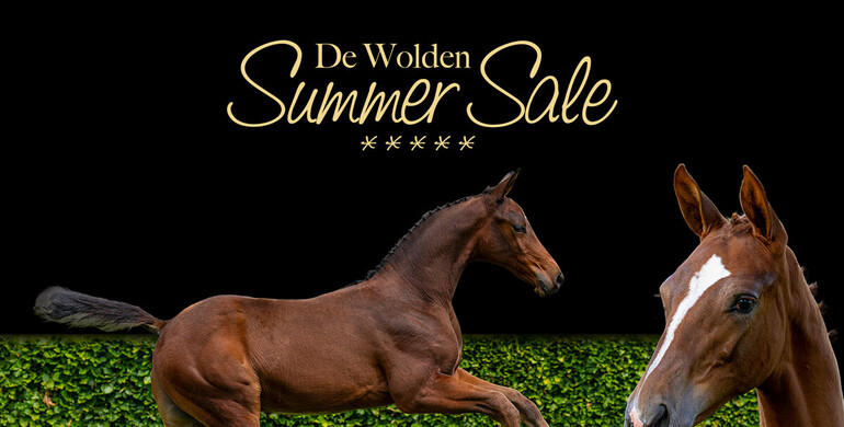 De Wolden Summer Sale is back and presents the top refences of the future!