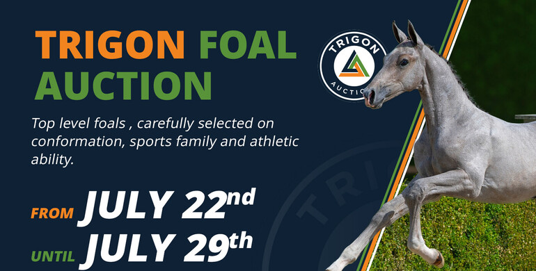 Trigon Auctions returns with the first collection of 2026