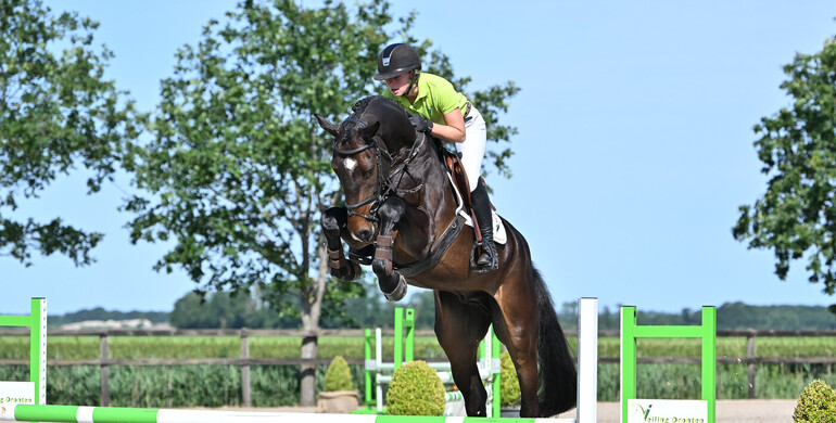 Dronten's successful Equestrian week returns with sporthorse and foal auctions