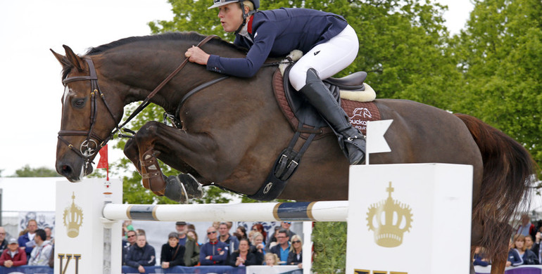 Dougie Douglas sells for €1.4 million at the Goresbridge Supreme Sale of Showjumpers