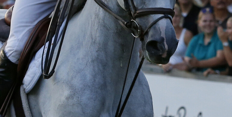 Use of draw reins forbidden at Swiss shows from 2016