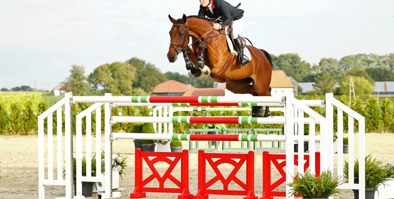 Advertisement: Holger Hetzel Sport Horse Sales 2015 presents Outstanding