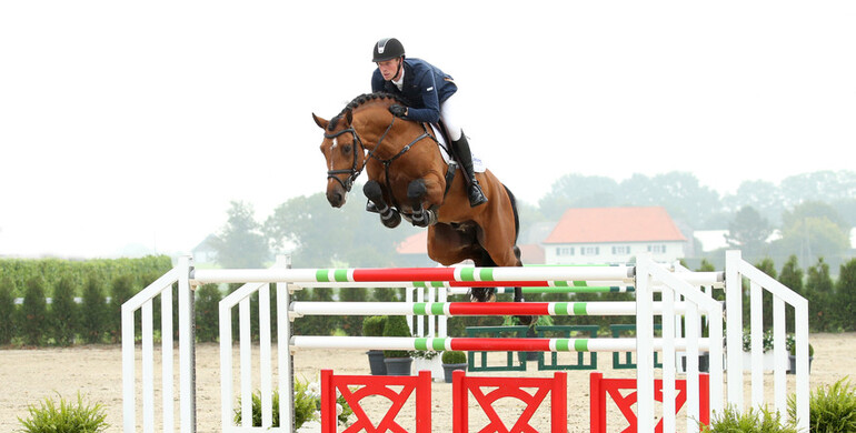 Advertisement: Holger Hetzel Sport Horse Sales 2015 presents King of Queens