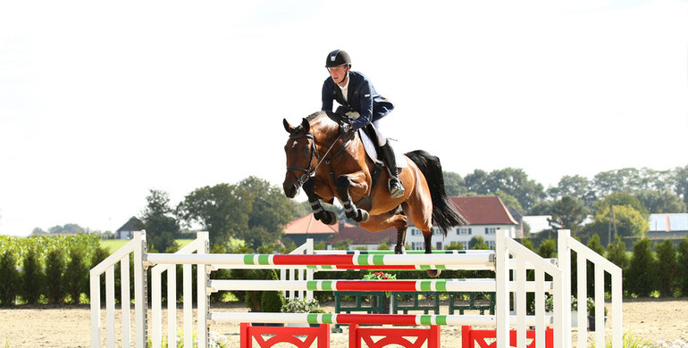 Advertisement: Holger Hetzel Sport Horse Sales 2015 presents Pep
