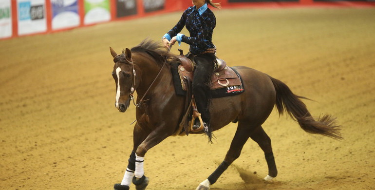 Images | Showjumpers go reining
