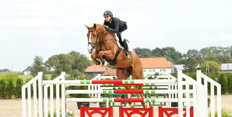Advertisement: Holger Hetzel Sport Horse Sales 2015 presents Golden Future