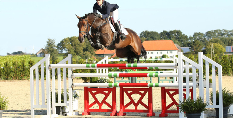 Advertisement: Holger Hetzel Sport Horse Sales 2015 presents Brown Eyes
