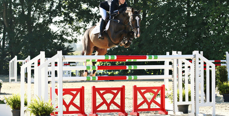 Advertisement: Holger Hetzel Sport Horse Sales 2015 presents Hip Easy