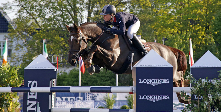 Record breaking year for Goresbridge Go For Gold & Supreme Sale of Showjumpers