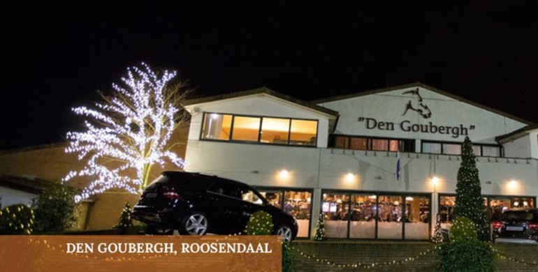 Advertisement: Holland Horse Sales – Solid as a Rock