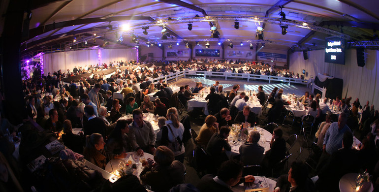 Advertisement: 11th Holger Hetzel Sport Horse Sales - the countdown has started