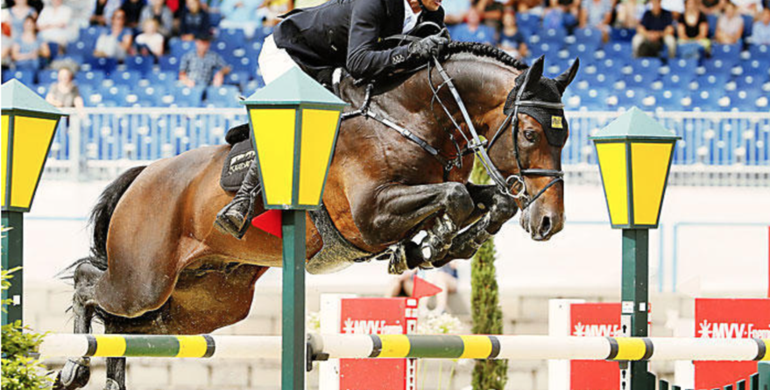 Marco Kutscher: “A horse cannot tell exactly what it feels, so it is important to prevent problems”