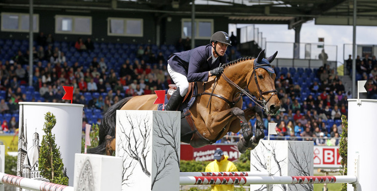 Four new horses for Katharina Offel