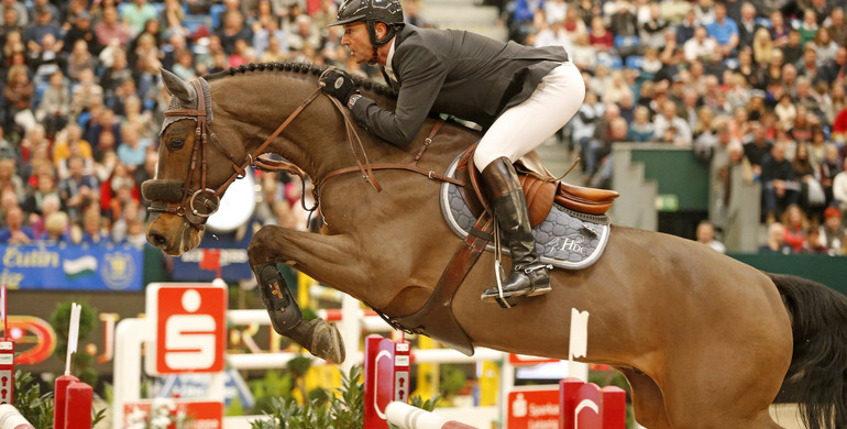 From youngster to international Grand Prix horse: Lacrimoso 3 HDC