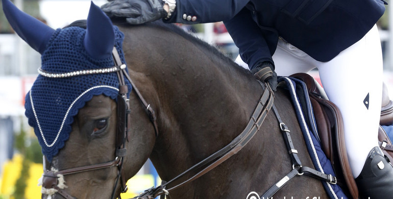 German Equestrian Federation tightens on team nominations