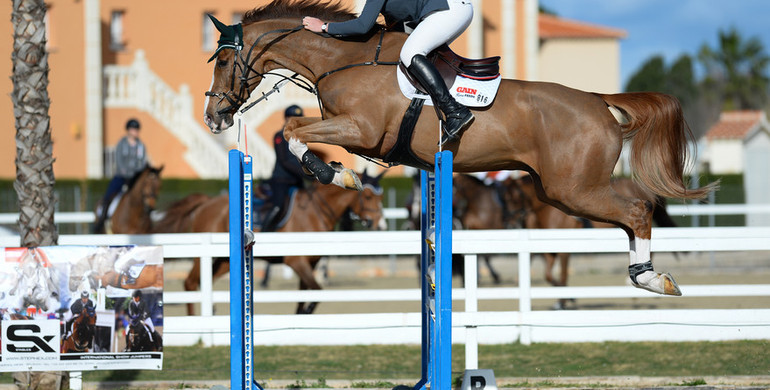 Clem McMahon shines with Pacino-offspring in young horse classes at 2016 Spring MET II Week 1