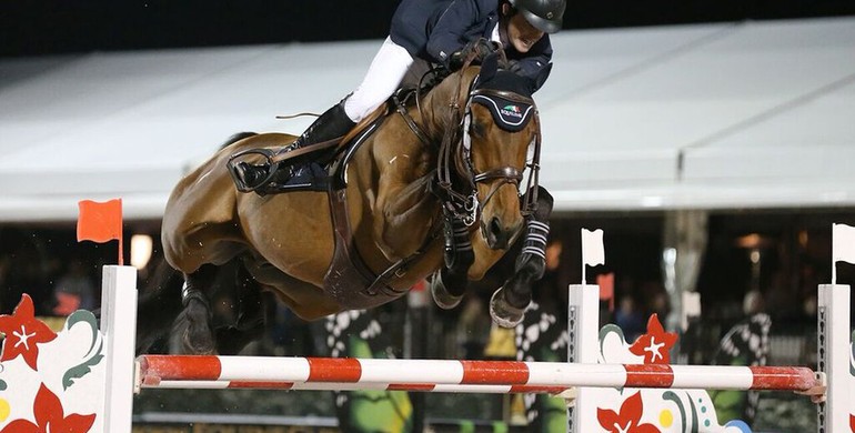 Darragh Kenny and Red Star D'Argent win CSI3* Grand Prix at WEF 6