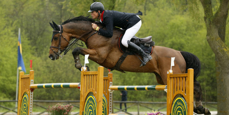 Bruce Goodin: “Equine 74 Gastric is still allowing the food to do its job”