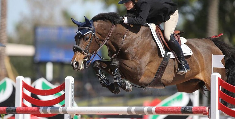 Victoria Colvin and Austria 2 win Nutrena Jumper Classic to start WEF 8