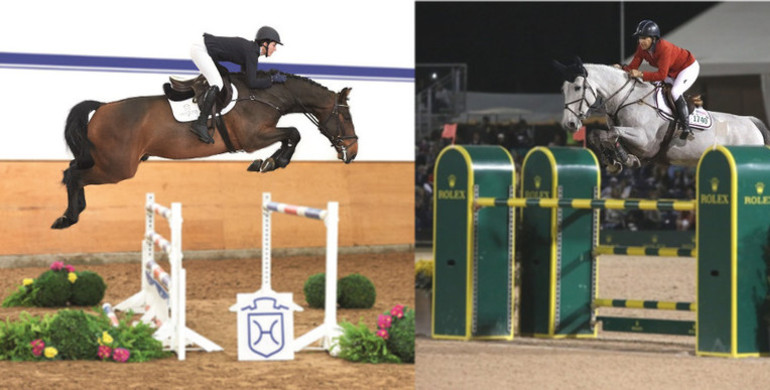 Zeremonie – dam of a current candidate at the Holsteiner Spring Auction - was second in the Nations Cup in Wellington