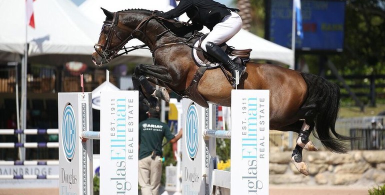 Shane Sweetnam and Cyklon 1083 dash to victory in Douglas Elliman Classic to start WEF 9