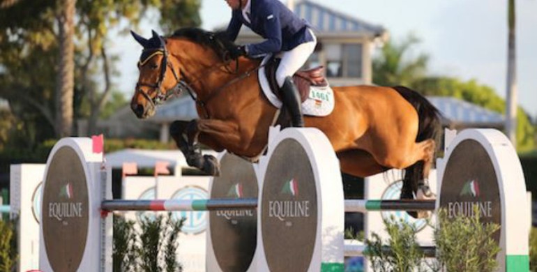 Conor Swail and Cita claim victory in Douglas Elliman 1.45m Classic to start WEF 11