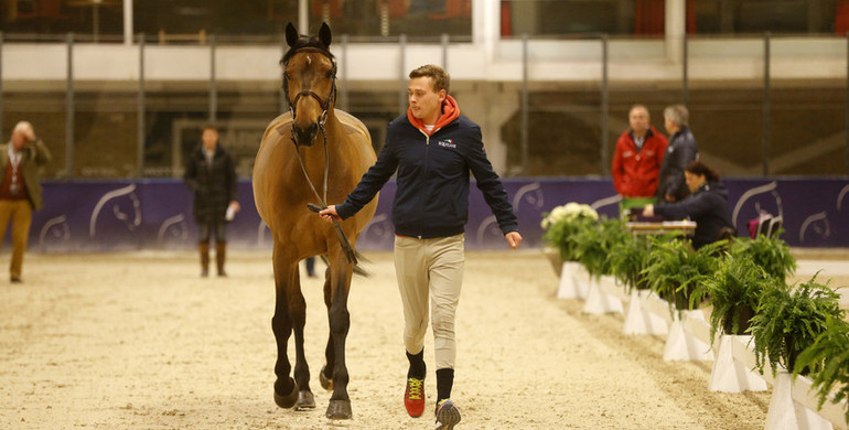 All horses through the second inspection in Gothenburg