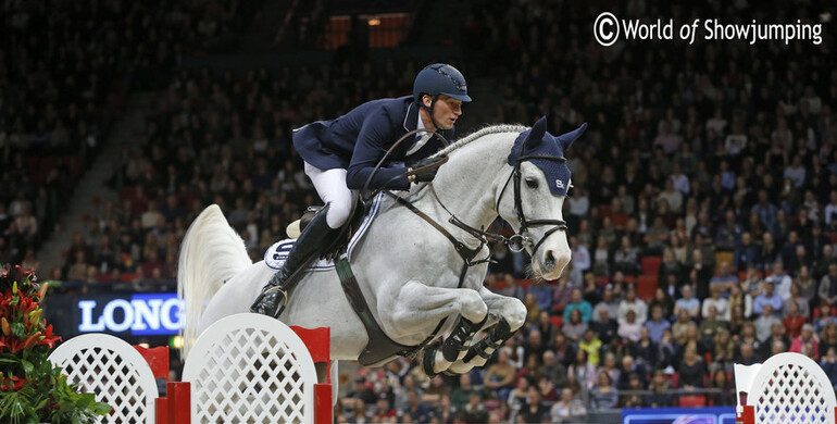 Cornet d'Amour back in the ring