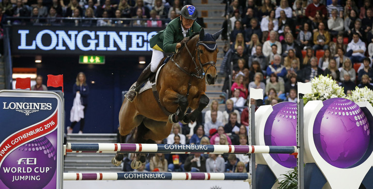 World Cup Final-sensation Cristalline: A horse of a lifetime!