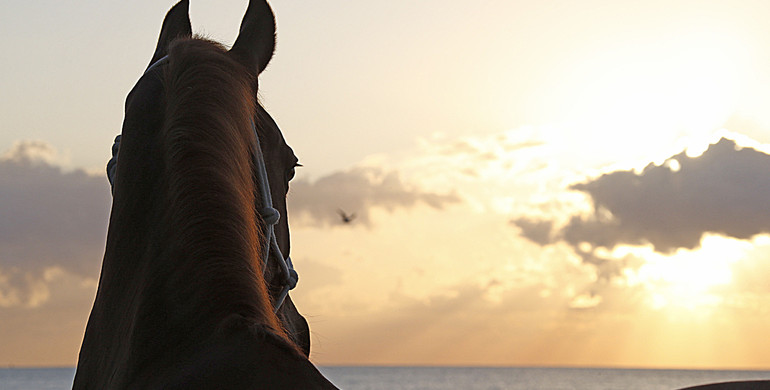 Longines Global Champions Tour of Miami Beach in images