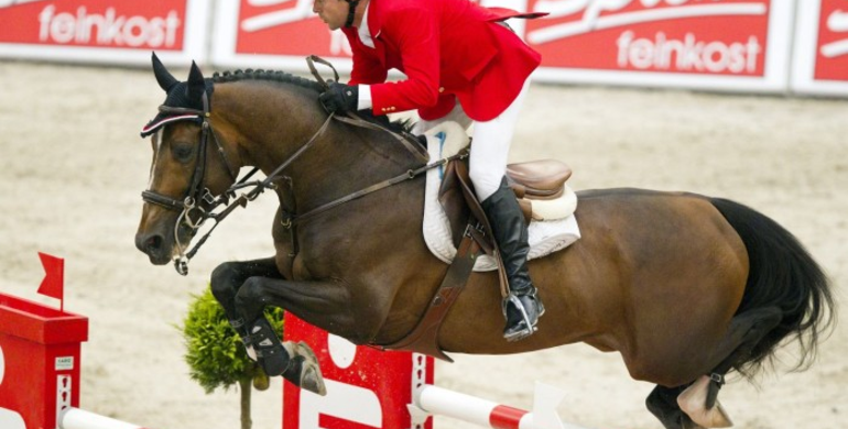 Embryo from the legendary Hickstead out of the sister of Quod’Coeur de Loge