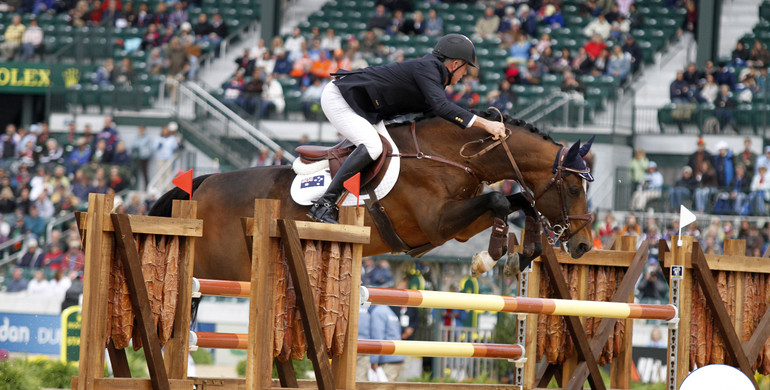 From youngster to international Grand Prix horse: Vivant