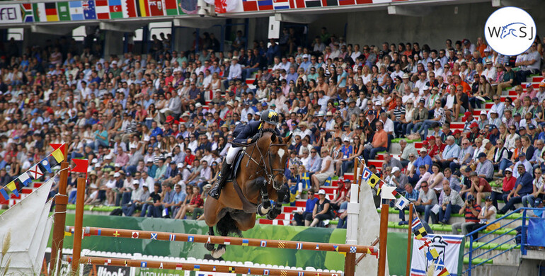 Vivant van de Heffinck sold to Coolballyshan Stud in Ireland