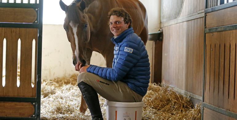 The German Champion favors Equine 74 Gastric