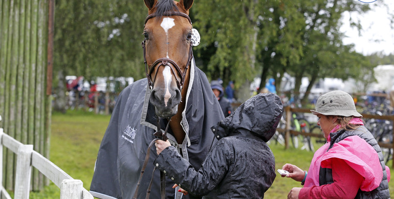 Images | Vet-check at a rainy Falsterbo