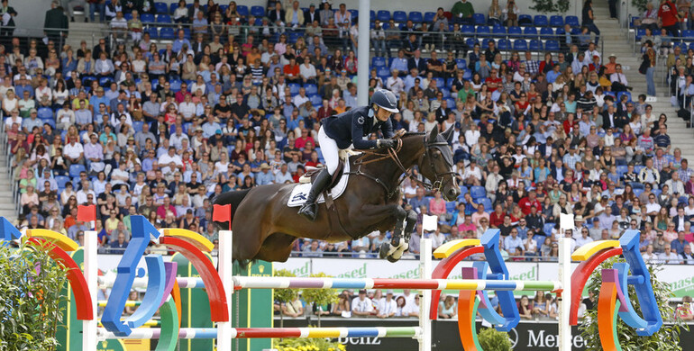 Air Pia VG Z and Freestyler sold to the US from Stephex Stables