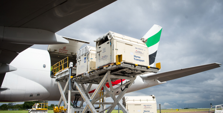 Countdown to Rio: Flying facts | How do the horses travel to Rio?