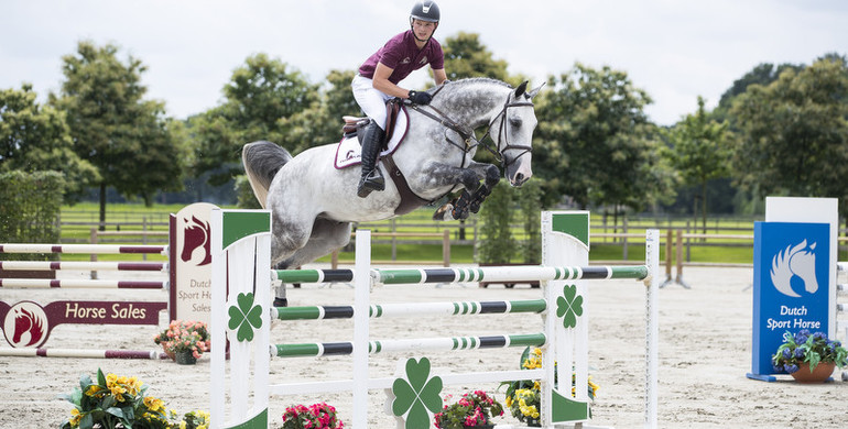 Dutch Sport Horse Sales; The collection is online