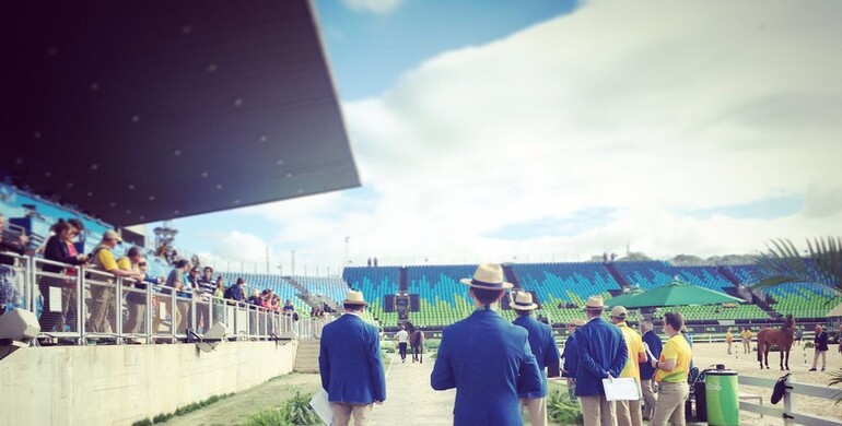 Horse inspection completed: Showjumpers are ready to compete in Rio