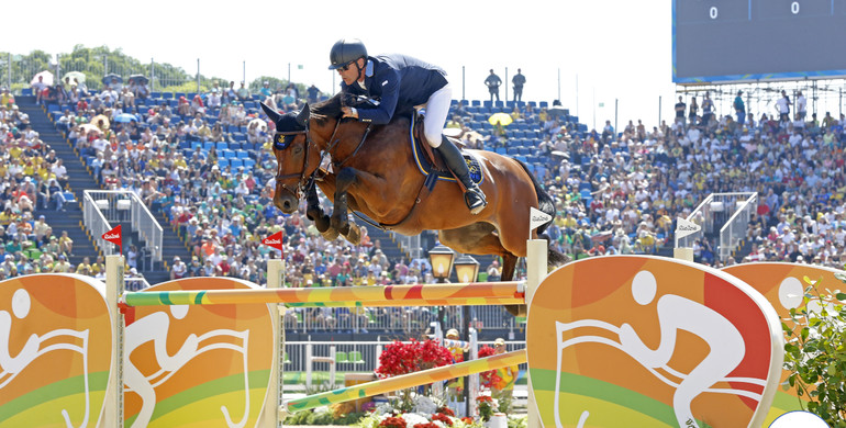 From youngster to international Grand Prix horse: H&M All In