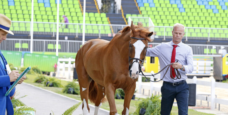 All horses pass the final inspection in Rio