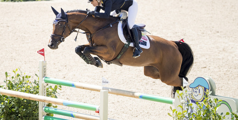 A successful week for former Holsteiner Auction Foal – Lintea Tequila