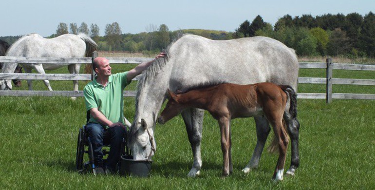 Eric Goossens from Haras de la Vie: Flipping the odds!