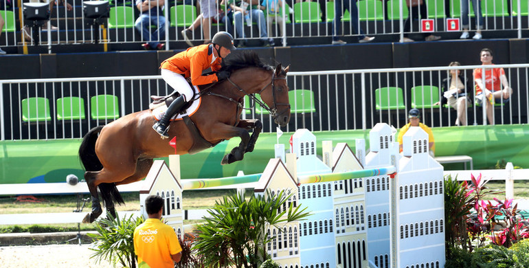 The SFN Auction: A review and video of the top-class horses on offer