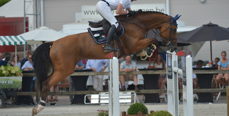 Darragh Kenny wins Transport Van De Poel Prize at De Kraal International